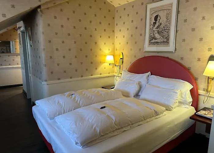 Hotel Boutique Belle Epoque Bern